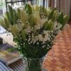 moflic_flowers_tulip_flowers_bouquet